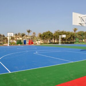 sports surface 5